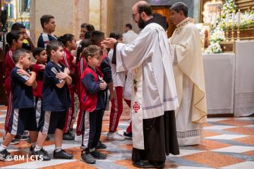 festa san francesco