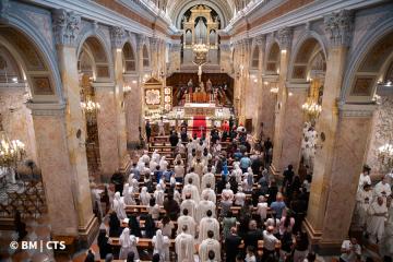 festa san francesco