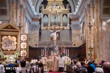 festa san francesco